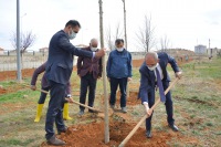 Merkez Yerleşkemiz Yeşillenmeye Devam Ediyor